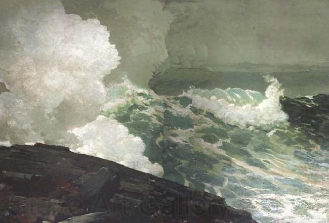 Winslow Homer Northeaster (mk44) Norge oil painting art